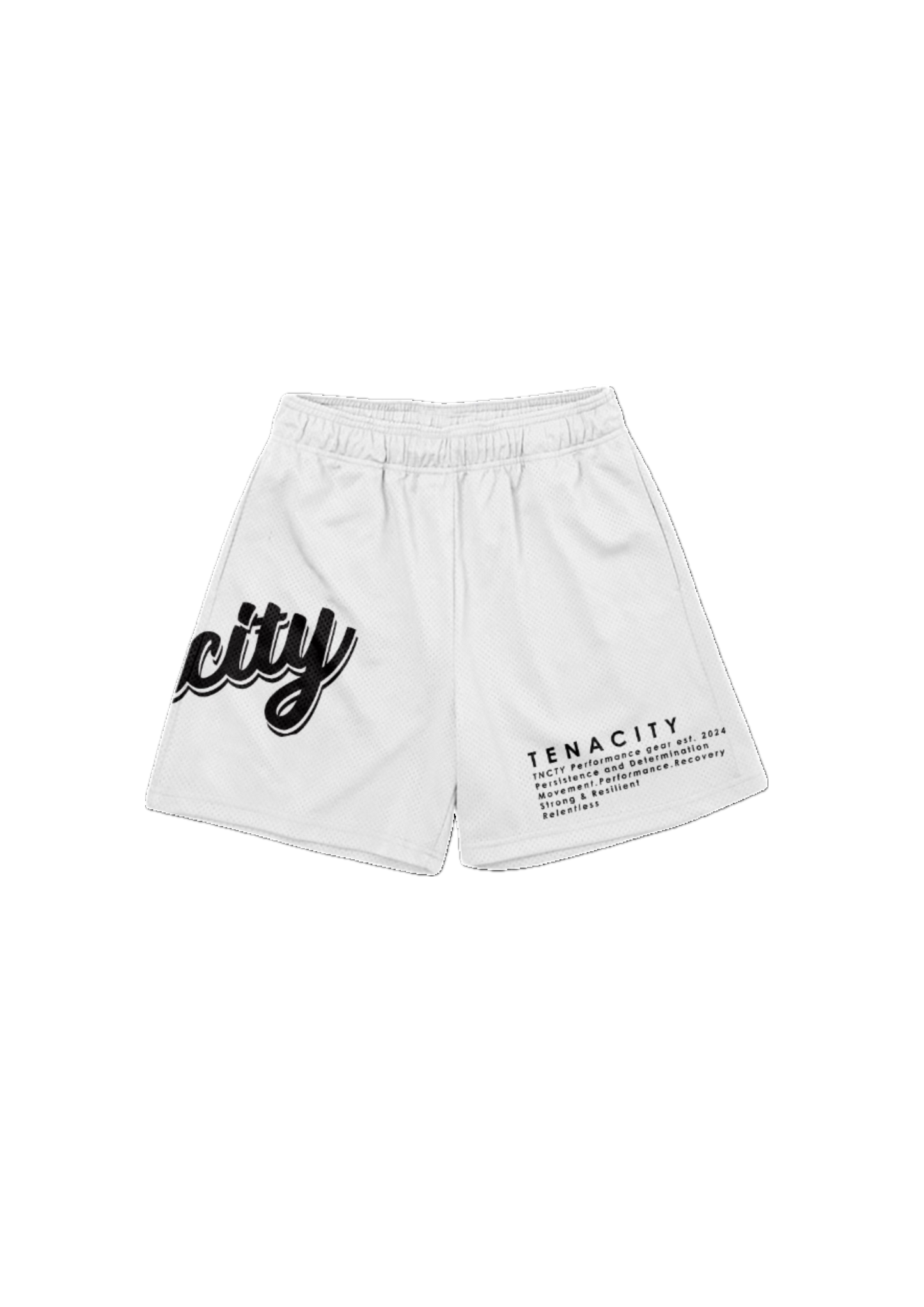 Mesh Rec 5 inch In-Seam Shorts