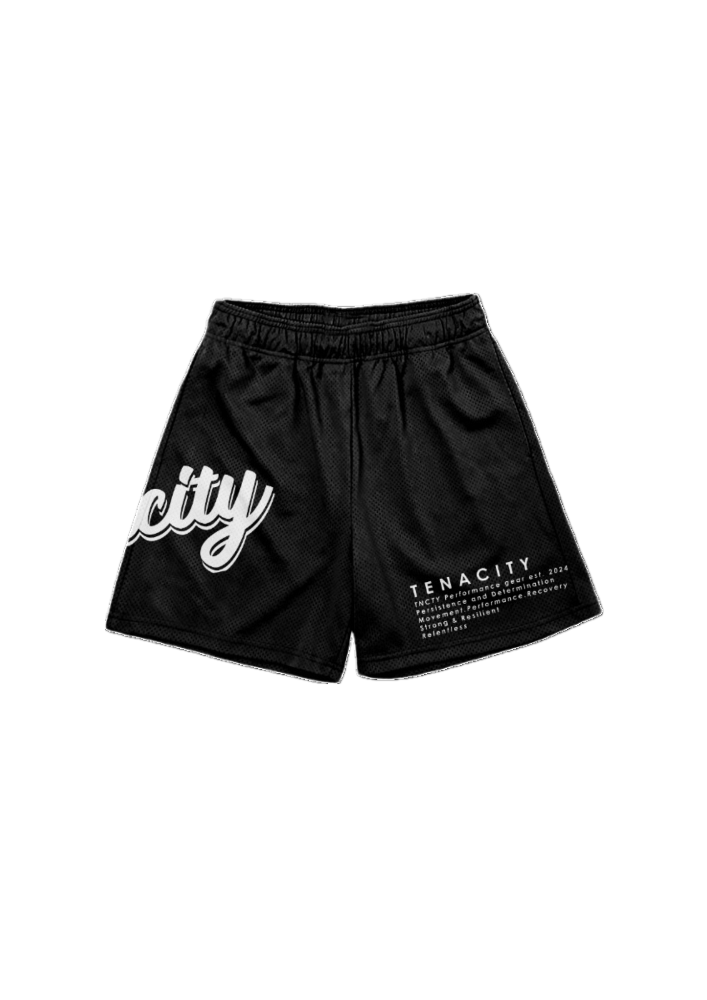Mesh Rec 5 inch In-Seam Shorts